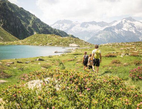 Ahrntal-Akteure schließen sich zusammen