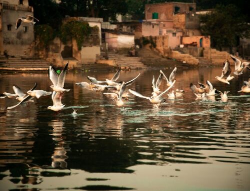 Delhi: Seilbahn über Fluss Yamuna